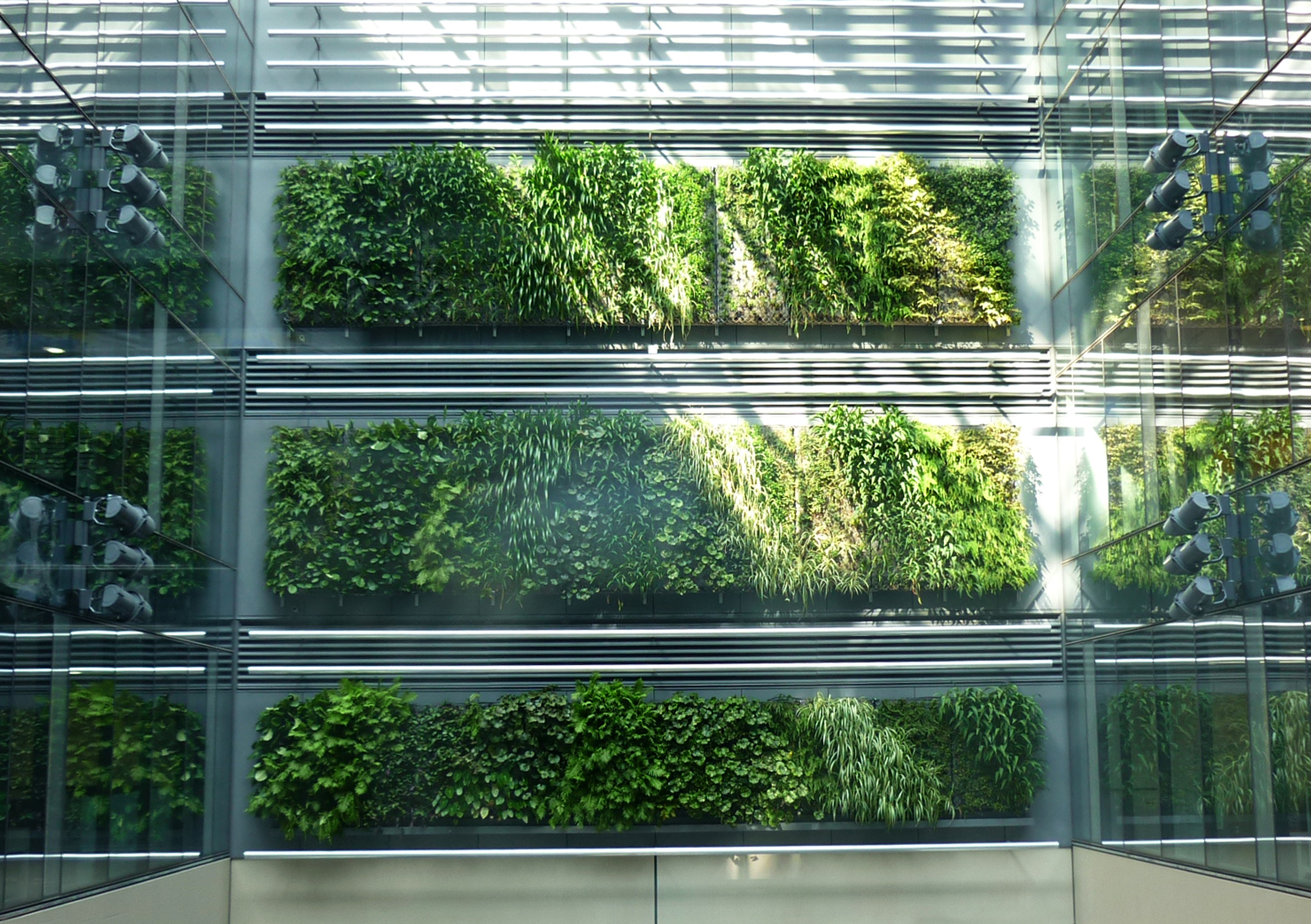 3-storey-high green walls in the Britomart precinct